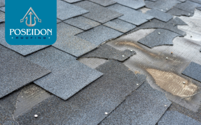 When to Replace Shingle Roof: Key Signs Your Roof Needs an Upgrade