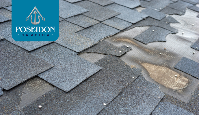 When to Replace Shingle Roof: Key Signs Your Roof Needs an Upgrade