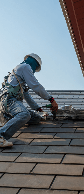 expert roof
